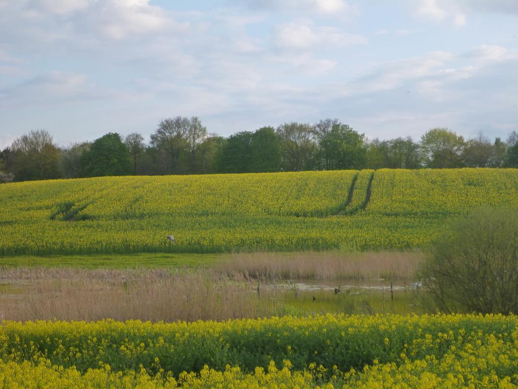 Das Haus Am Teich Gross Grabow エクステリア 写真