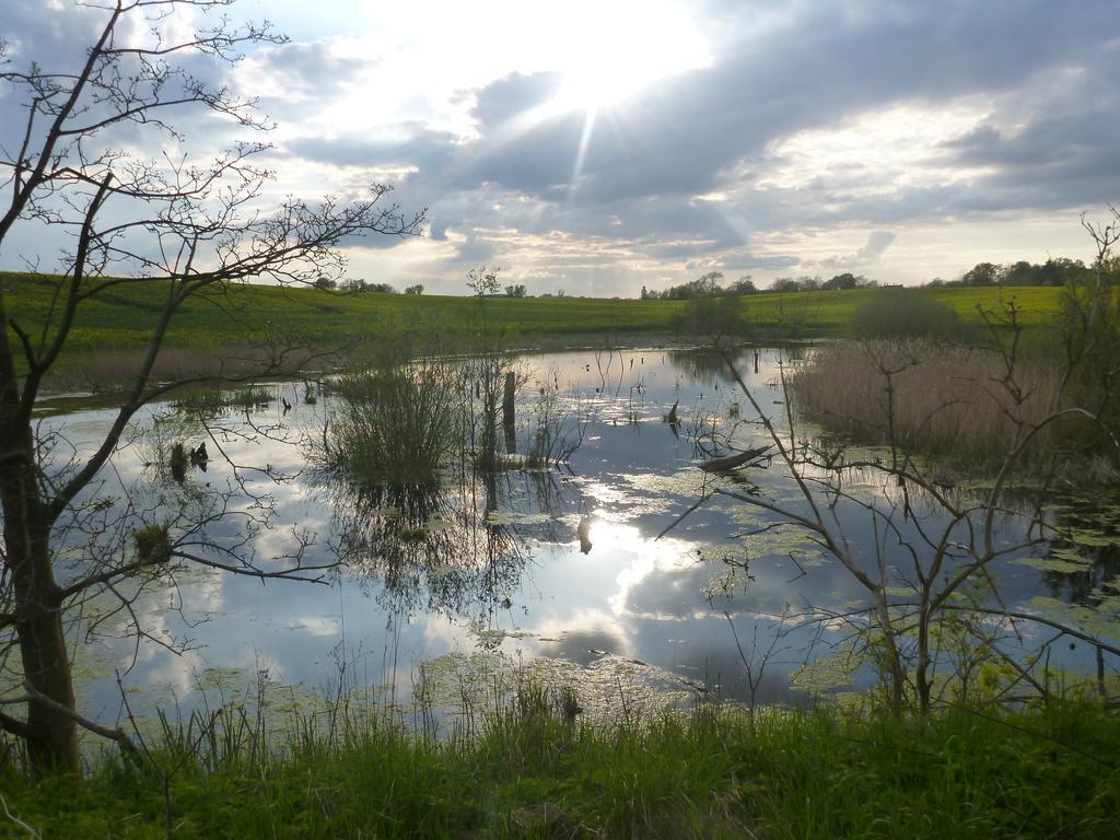 Das Haus Am Teich Gross Grabow エクステリア 写真
